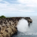 nusalavu_h_0705_0099.jpg